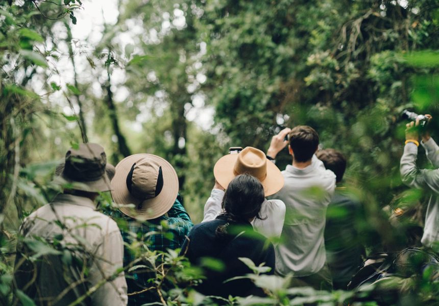 Bwindi Impenetrable National Park22