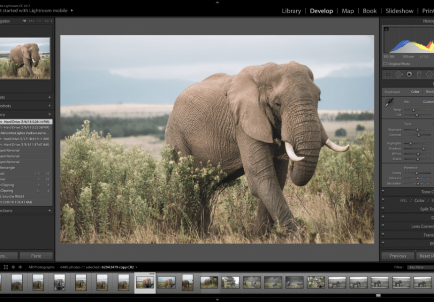 Develop-Dashboard-1-1024x640