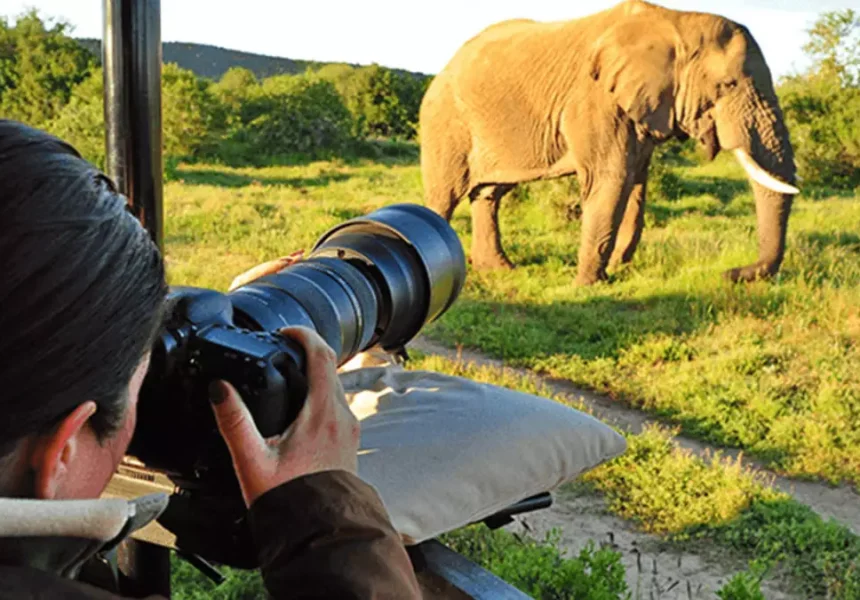 Pro-Photo-Safari-Package