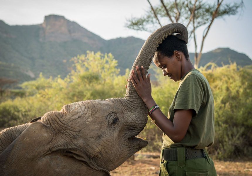 RETETI -Shaba_Reteti_AmiVitale