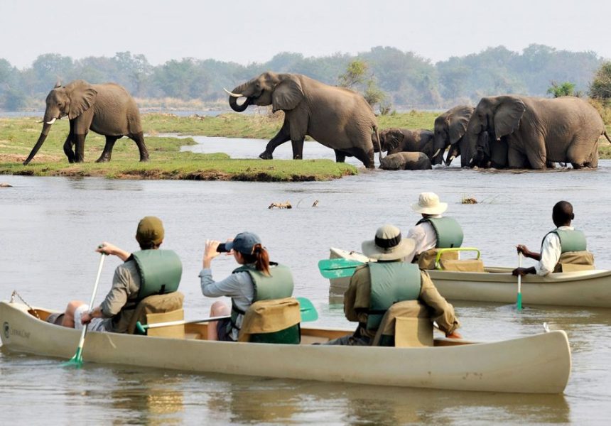 chiawa-safaris-canoeing-1-1440x662