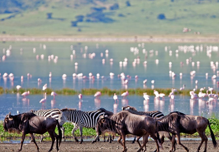 ng-luxury-tanzania-safaris