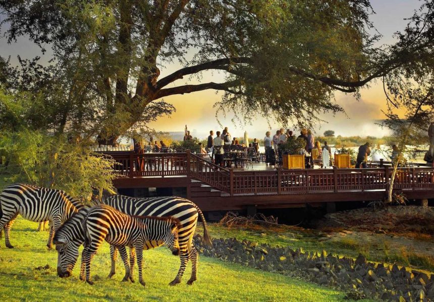 the_sundeck_with_zebras_in_the_foreground1-8 (1)