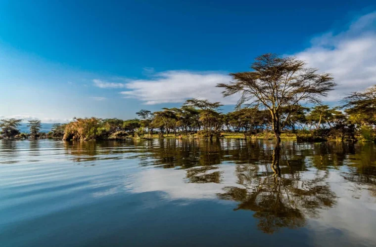 unforgettable-crescent-island-walking-safari-naivasha-4341089