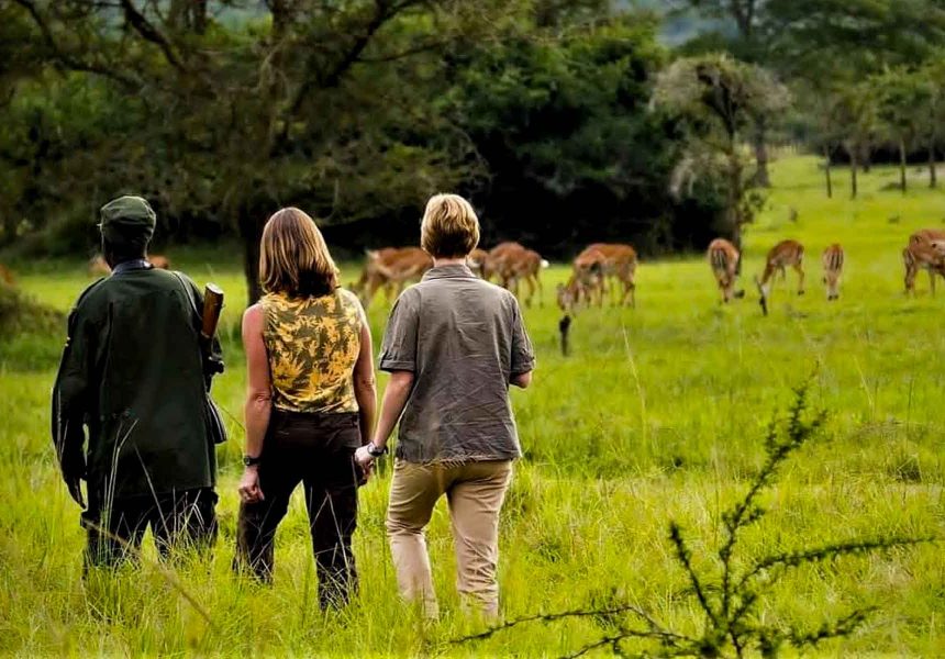 walking-safaris-in-lake-mburo-national-park